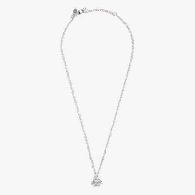 A Little Luck Silver 46cm   5cm Extender Necklace 5282