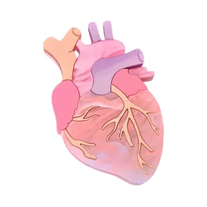 Pastel Anatomical Heart Brooch by Cherryloco