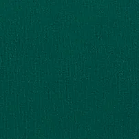Super Emerald Green Velvet Samples - R03542