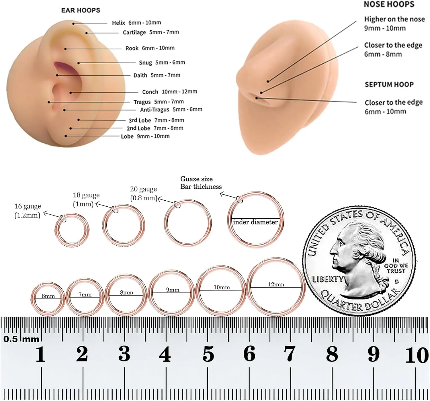 Titanium Nose Rings 20G 18G 16G Nose Rings Hoops Septum Clicker Hinged Segment Ring Cartilage Helix Tragus Conch Daith Rook Hoop Earring, Diameter 5mm to 12mm Silver-Gold-Rose Gold-Black Hoop Ring