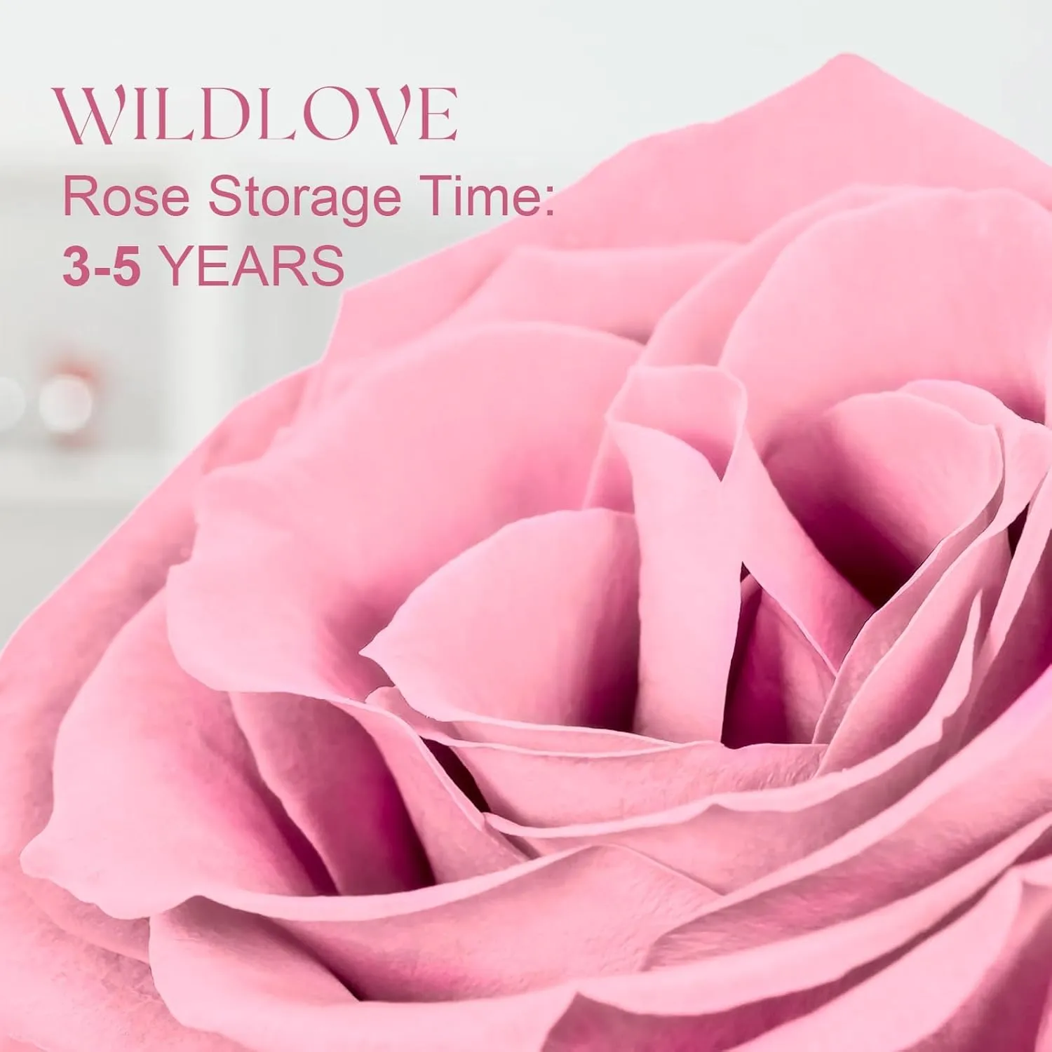 WILDLOVE Preserved Forever Real Rose with I Love You Necklace, Birthday Gifts for Mom Grandma Wife, Preserved Flowers Gift for Her - Pink